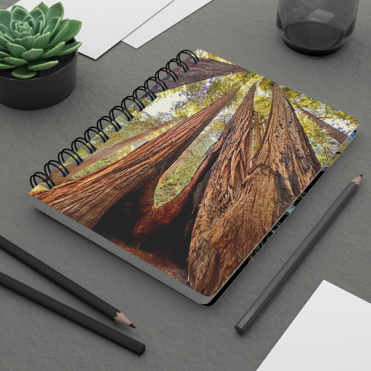The Muir Woods Redwood Trees Dreamy 4-Cover Notebook